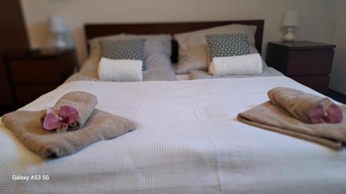 Gyula Apartamento | Viktória Apartman Gyula