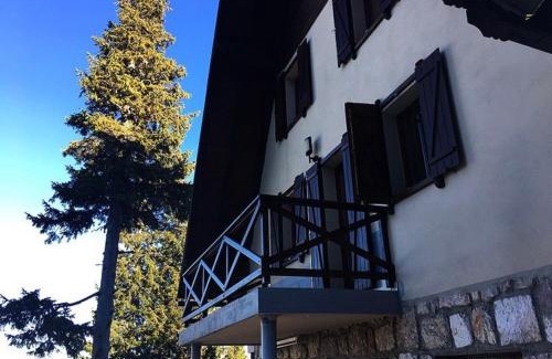Jahorina Villa | Vila Aleksandra Jahorina