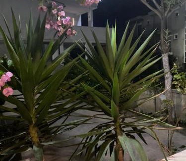 Gjerana Casa | Vila Almas
