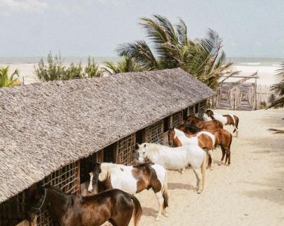 Jericoacoara Hotel | Vila Ascensão