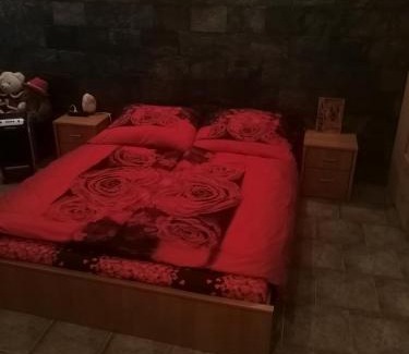 Prague 5 Apartamento | Vila Barrandov