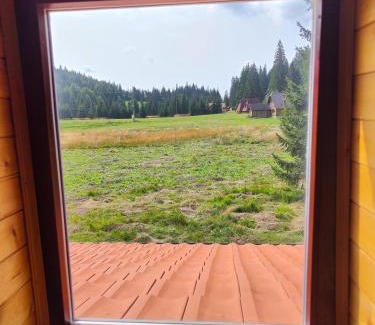 Konjska Reka Villa | Vila Carobna suma Tara