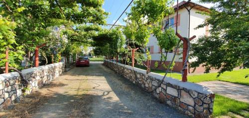 Vama Veche Casa | Vila Cosmin