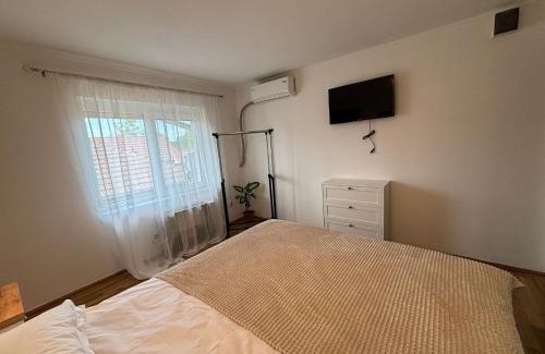 Emanoil Gojdu Casa | Vila Daddy