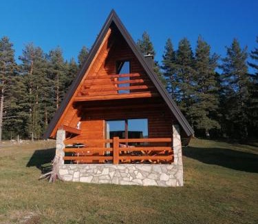 Njegovuđa Casa | Vila Dajana Zminica