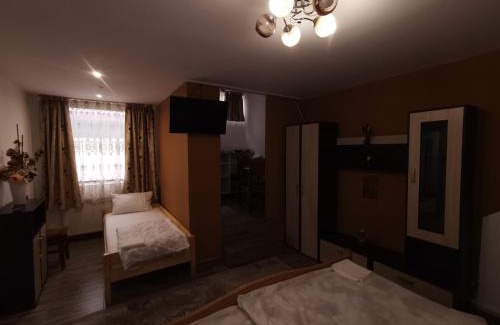 Piatra Neamt Casa | vila elly
