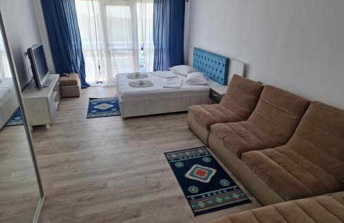 Murighiol Casa | Vila Flavius
