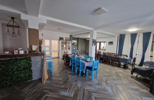 Murighiol Casa | Vila Flavius