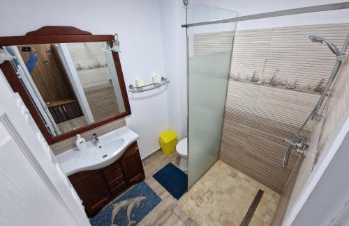 Murighiol Casa | Vila Flavius