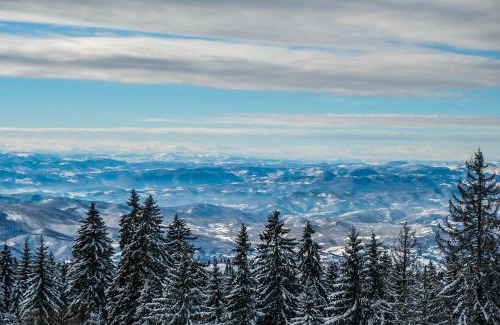 Kopaonik Apartamento | Vila Golija Peak Suites