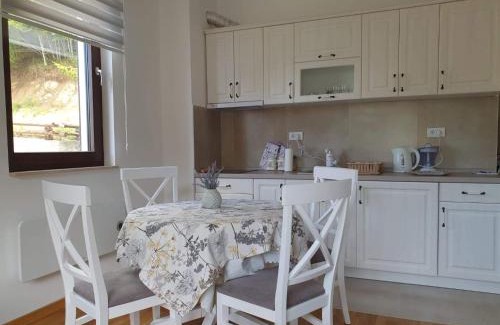 Kopaonik Apartamento | Vila Irina - Apartman Miloš