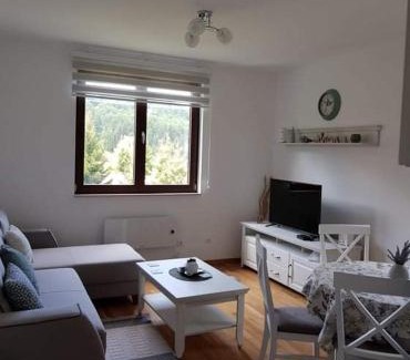 Kopaonik Apartamento | Vila Irina - Apartman Miloš