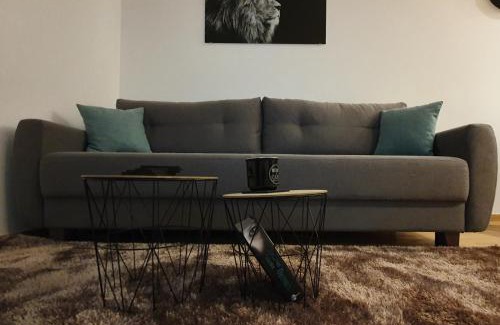 Kopaonik Apartamento | Vila Irina Kopaonik - Apartman IN