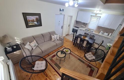 Cacak Villa | Vila Jovana - self check in