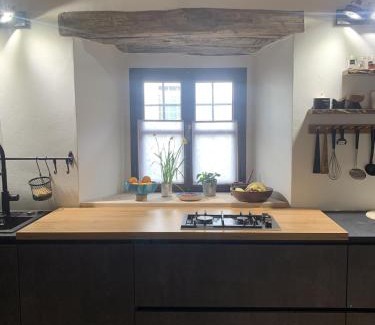 Slap Apartamento | Vila Kobdilj 1835 Historic Homestead with Shared Courtyard