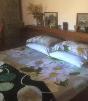 Caciulata Casa | Vila Licurici
