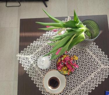 Kraljevo Apartamento | VILA Milovanović