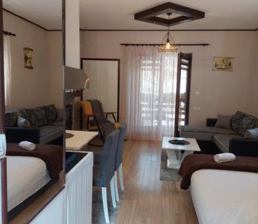 Kremna Villa | Vila MINA
