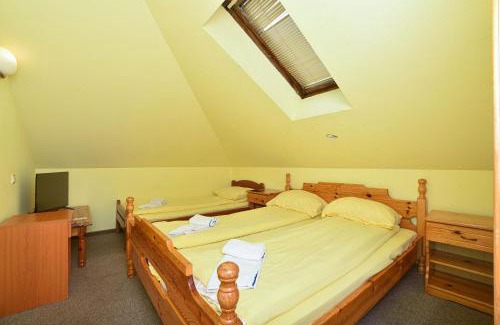 Zlatibor Hotel | Vila Mina