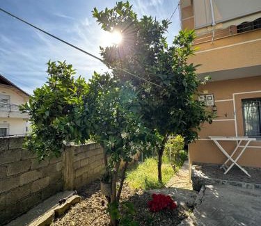 Tirana Villa | Vila Murati