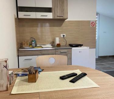 Stara Planina Apartamento | Vila Nika
