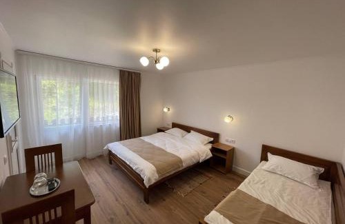 Borsec Casa | Vila Panova