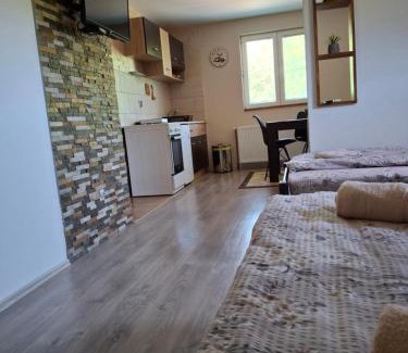 Mokra Gora Apartamento | Vila Petar
