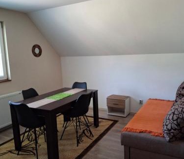 Mokra Gora Apartamento | Vila Petar