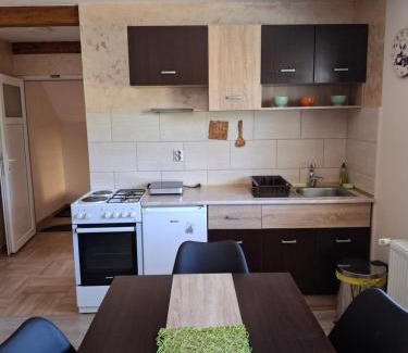 Mokra Gora Apartamento | Vila Petar
