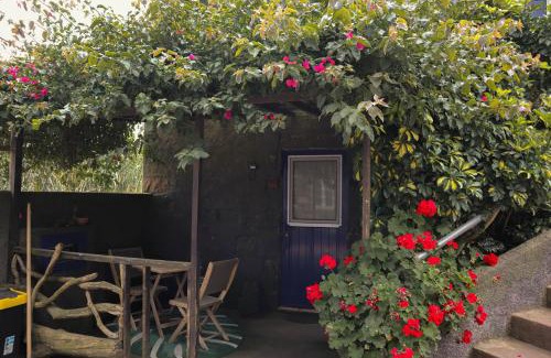 Bretanha Apartamento | Vila Pilar Vulcão - Rural Cottage in the Countryside of São Miguel