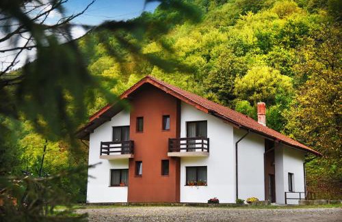 Slanic-Moldova Casa | Vila Poiana Verde