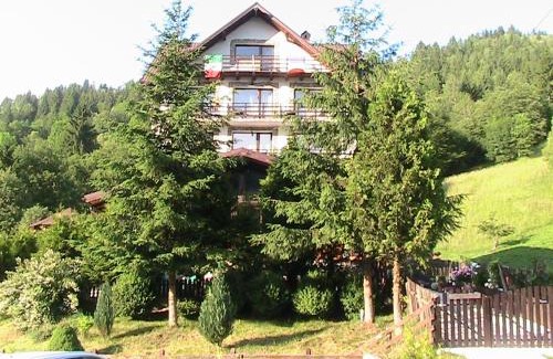 Moeciu de Sus Cabina | Vila Rina