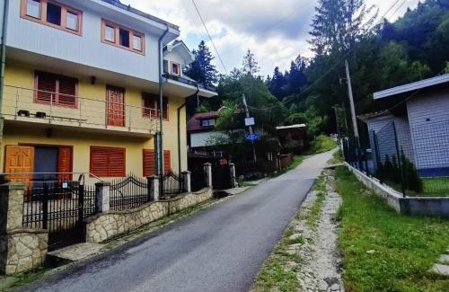 Slanic-Moldova Casa | Vila Robert