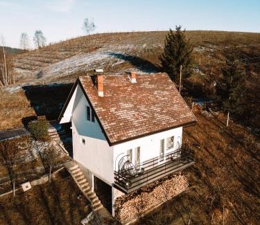 Zlatibor Casa | Vila Sekvoja