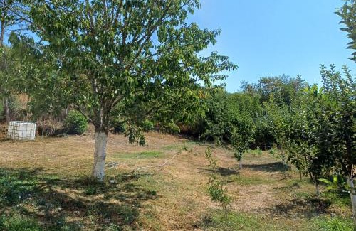 Demir Hisar Casa | Vila Stojna