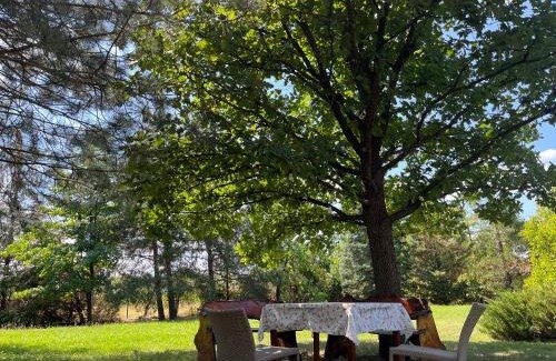 Central Serbia Villa | Vila Timok