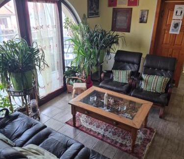 Zajecar Casa | Vila Vienna