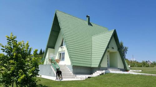 Montenegro Villa | Vila Zeleno borje