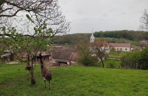 Kisjakabfalva Casa | Villány Outback