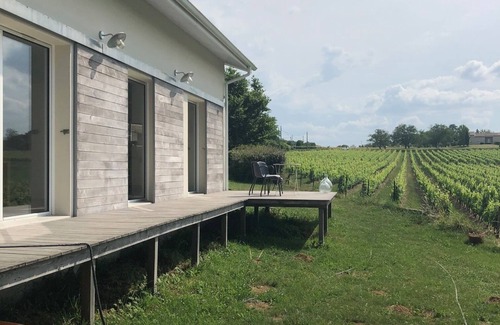 Cenac Casa | Villa 15minutes from Bordeaux with swimming pool in the middle of the vineyards.