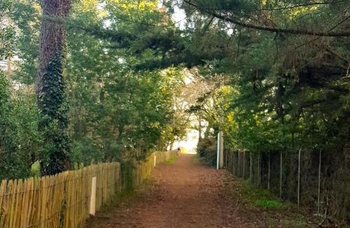 Lege-Cap-Ferret Villa | Villa 6 ch. avec sauna, jardin et parking près du Bassin d'Arcachon - FR-1-736-51