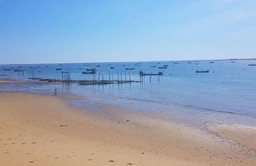 Lege-Cap-Ferret Villa | Villa 6 ch. avec sauna, jardin et parking près du Bassin d'Arcachon - FR-1-736-51