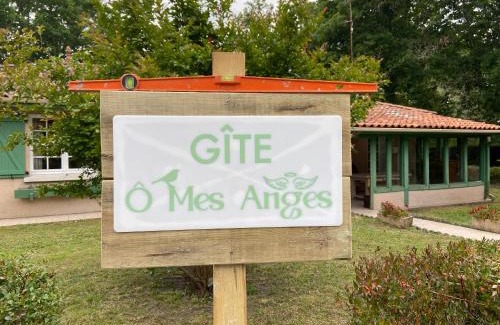 Saint-Julien-en-Born Casa | villa 8 personnes ô Mes Anges