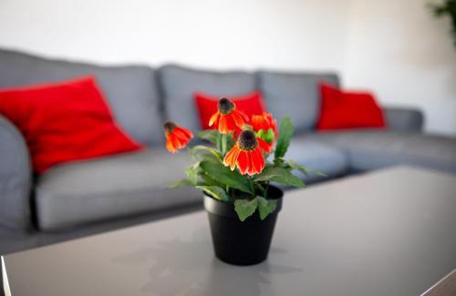 Lacanau-Ocean Villa | Villa Acacia - Centre-ville, pmr