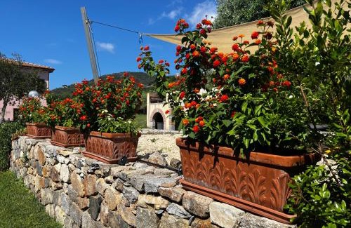 Campo nell'Elba Apartamento | Villa Aiali
