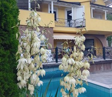 Sarajevo Villa | Villa Ajka