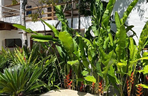Trancoso Villa | Villa Alba