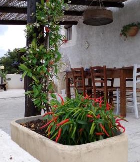 Castellammare del Golfo Villa | Villa Alessandro