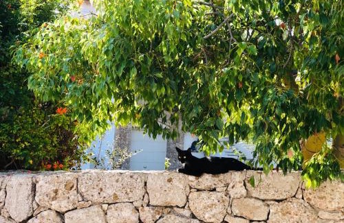 Agii Anargiri Casa | Villa Alexandros