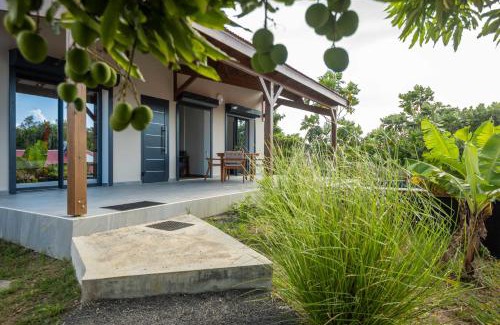 Les Abymes Villa | Villa Amazonie near new hospital private pool